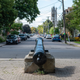 Illustration for article titled Pics from the Curbside: 2019-09-07